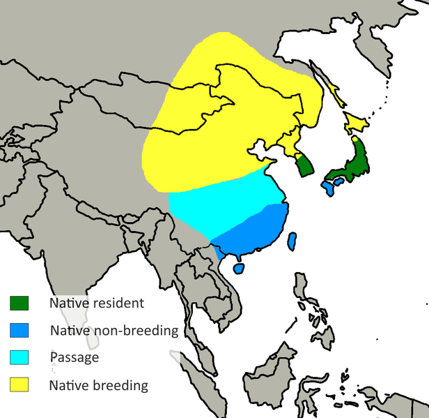 File:Spodiopsar cineraceus distribution.png