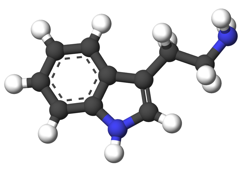 File:Tryptamine-3d-sticks.png