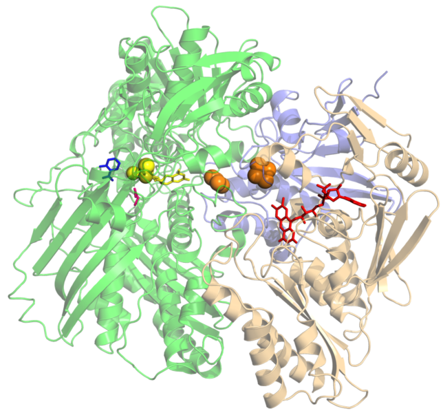 File:XanthineOxidase-1FIQ.png