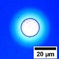 Circular hole formed in a 100 nm thick film of polystyrene. The blue color of the film is due to Structural coloration and depends on the film's thickness.