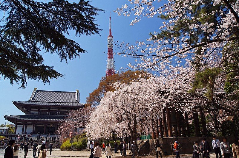 File:20110405-TokyoTower-Sakura01.jpg