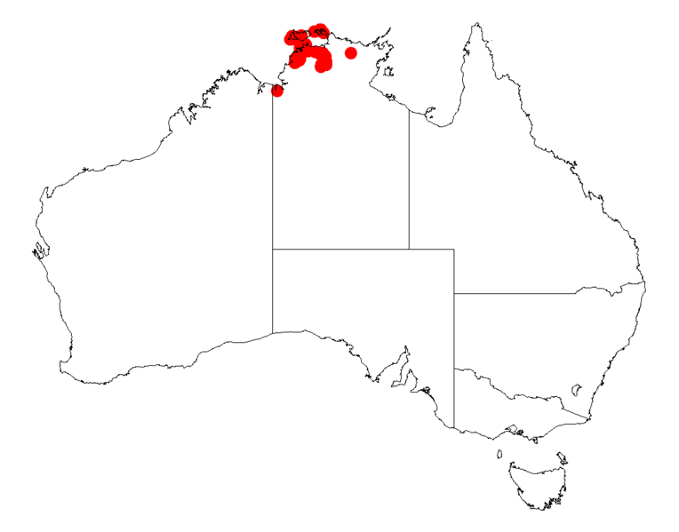 File:Acacia praelongataDistMap709.png