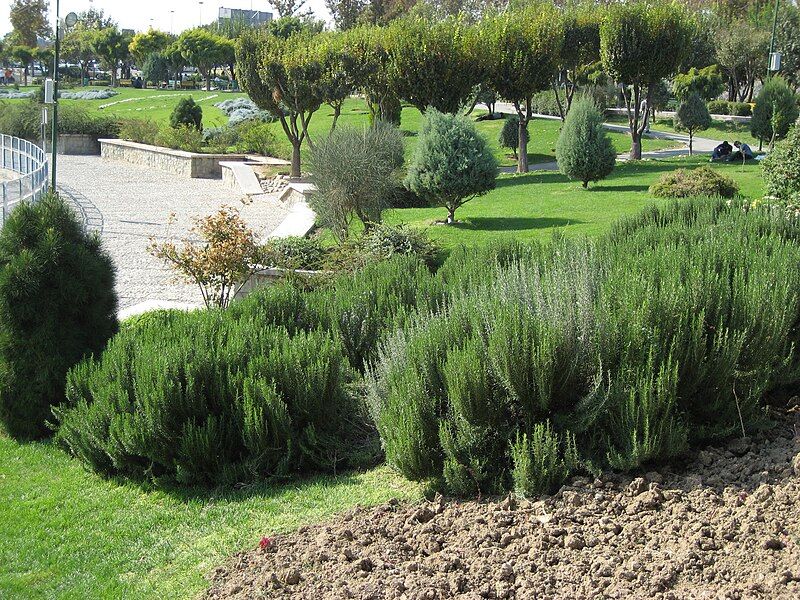 File:Al-Mahdi Park, Tehran.JPG