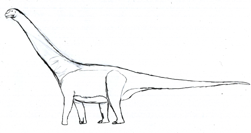 File:Aragosaurus LM.png