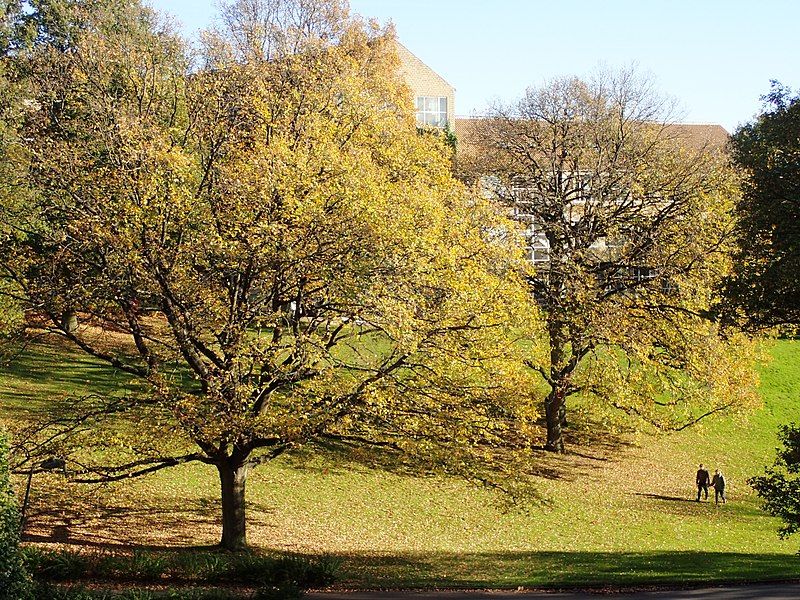 File:Bakkehældet (oktober).jpg