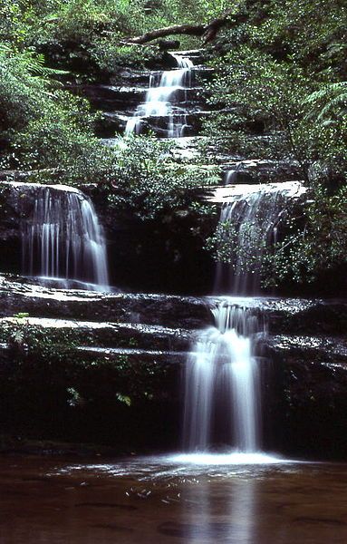 File:BlueMountains0080.jpg