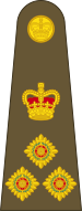 File:British Army OF-6.svg