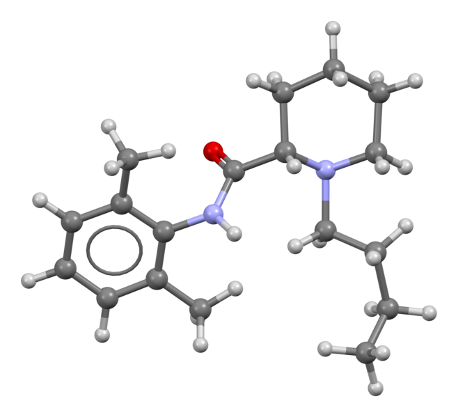 File:Bupivacaine-from-xtal-3D-bs-17.png