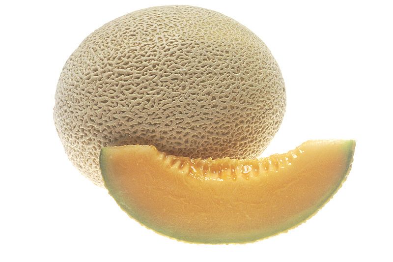 File:Cantaloupe.jpg