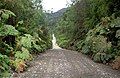 Carretera Austral near Caleta Gonzalo