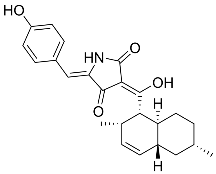 File:Conipyridoin e structure.png