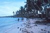 Lagoon shore at Fanning Atoll.