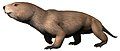 Kayentatherium