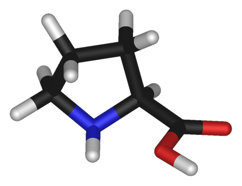 File:L-proline-3D-sticks.png