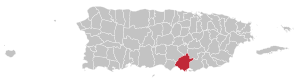 Map of Puerto Rico highlighting Salinas Municipality