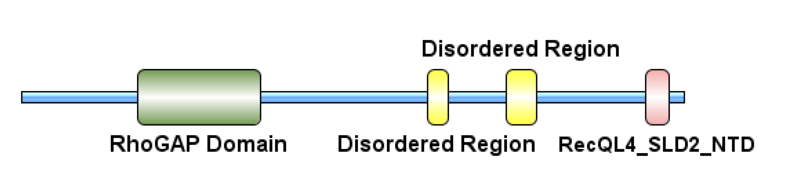 File:Nucleotide fam13b.png