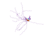 2ffw: Solution structure of the RBCC/TRIM B-box1 domain of human MID1: B-box with a RING