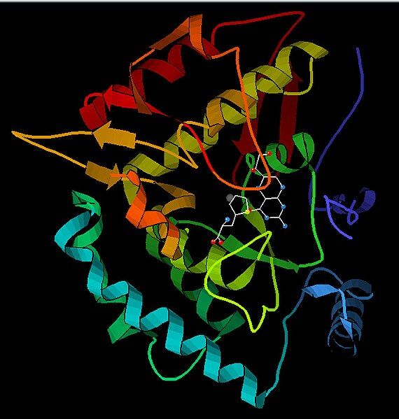 File:Phenylalanine hydroxylase.jpg