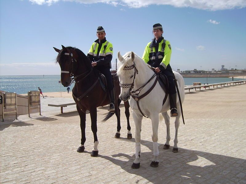 File:Policia muntada bcn.jpg