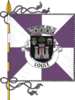 Flag of Loulé