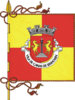 Flag of Canas de Senhorim