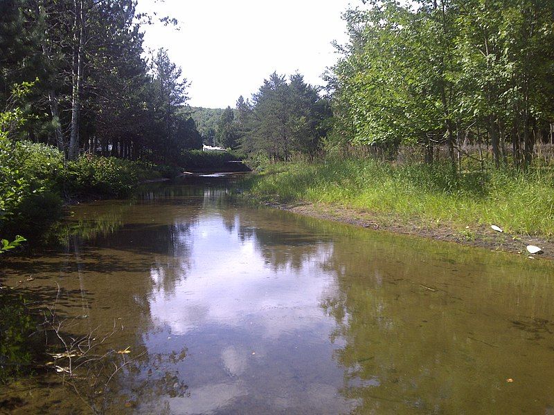 File:Rivière-Propre-Lac-aux-Sables-Début-11 août 2013.jpg