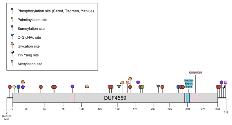 File:Schematic Illustration, updated.png