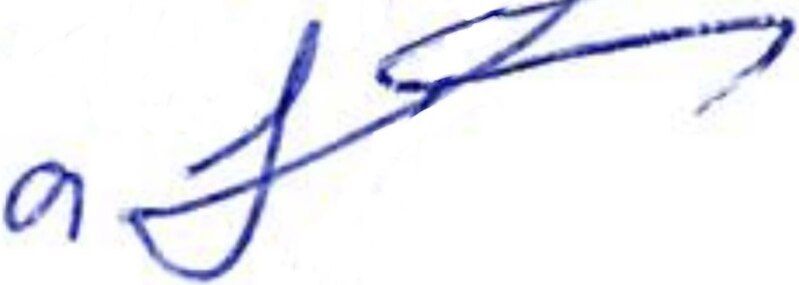 File:Tinatin Bokuchava signature.jpg