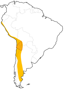 Map of the Lithium Triangle in South America, which includes Argentina, Bolivia, and Chile