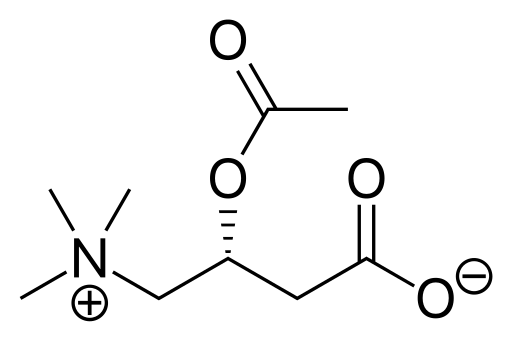 File:Acetylcarnitine.svg