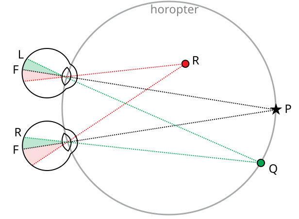 File:Binocular vision.svg