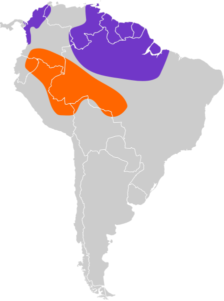 File:Chaetura chapmani map.svg