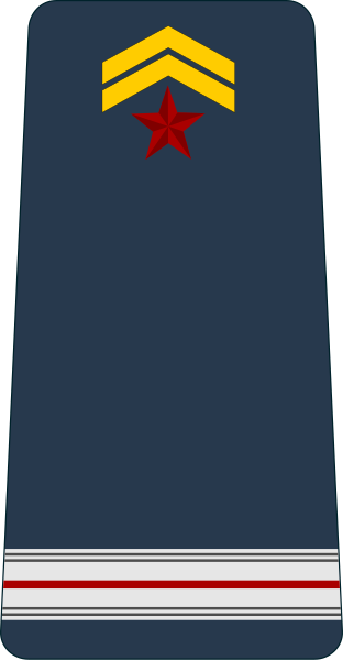 File:Djibouti-Airforce-OR-8.svg