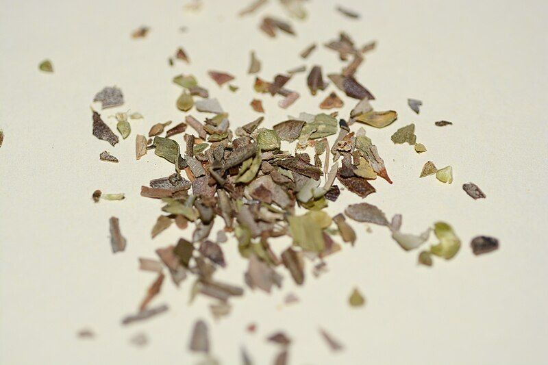 File:Dried Oregano.JPG