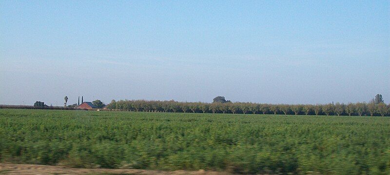 File:Field turlock CA.JPG