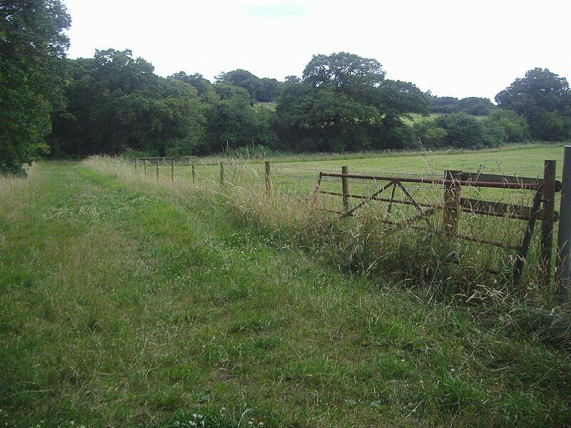 File:Hendon Wood field.jpg