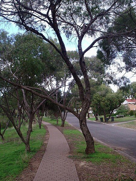 File:Ingle farm streetscape.JPG