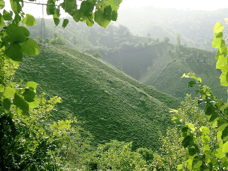 File:Mazandaran, Iran (Nature).jpg