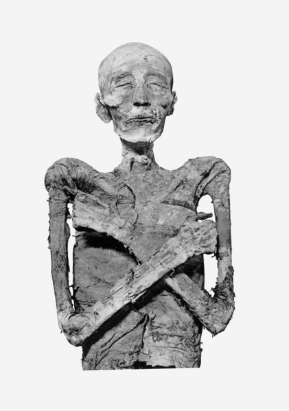 File:Merneptah mummy.png