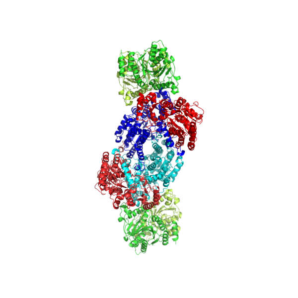 File:Nitrogenase.png