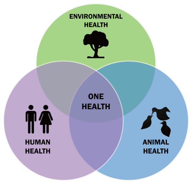 File:One-Health-Triad-en.png