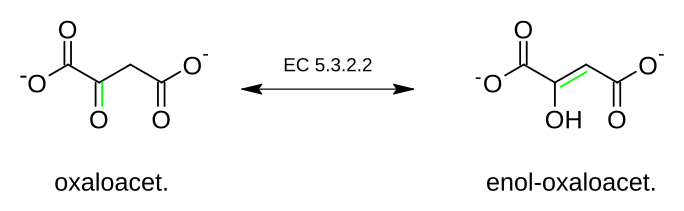 File:Oxaloacetate tautomerase.svg