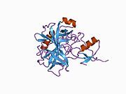 1cgj: THREE-DIMENSIONAL STRUCTURE OF THE COMPLEXES BETWEEN BOVINE CHYMOTRYPSINOGEN*A AND TWO RECOMBINANT VARIANTS OF HUMAN PANCREATIC SECRETORY TRYPSIN INHIBITOR (KAZAL-TYPE)