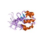 2v0f: BRK DOMAIN FROM HUMAN CHD7