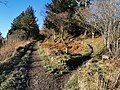 The Offa's Dyke Path climbs Penycloddiau from the east