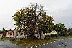 Pláň, a part of Ostrov u Bezdružic