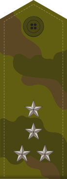 File:Russia-Army-OF-2-camo.svg