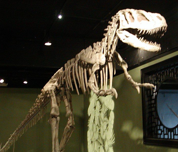 File:Sinraptor hepingensis.jpg