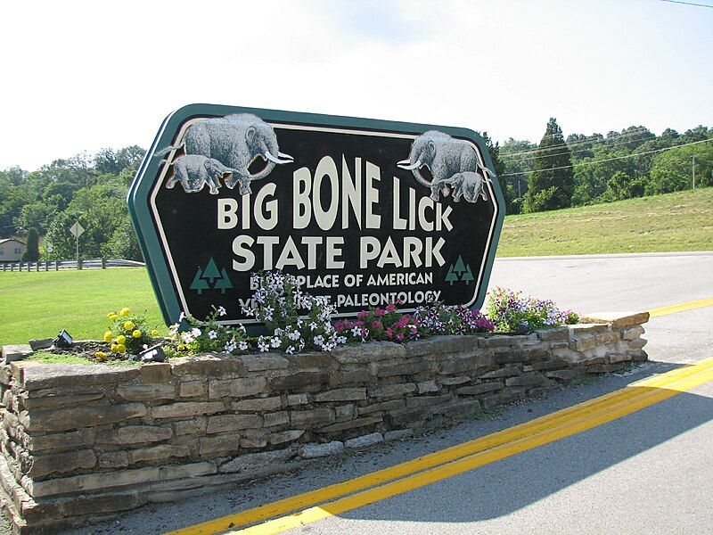 File:Bigbonelick.jpg