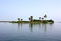 Image 68Bone Island, Batticaloa (from List of islands of Sri Lanka)